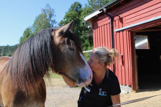 Cathrine og hesten Jojo