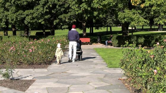 Far triller barnevogn nedover en sti i en park, et lite barn går ved siden av