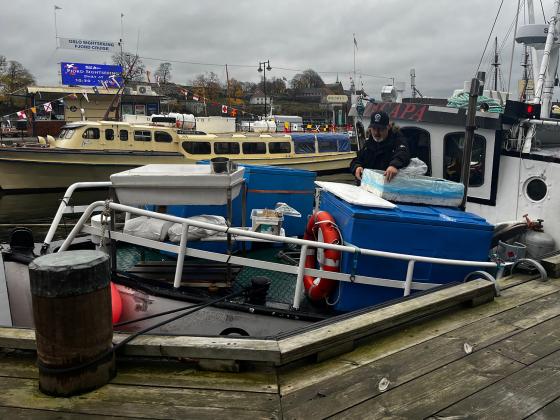 Sigurd er en lokal fisker i Oslofjorden. Han selger reker og fisk