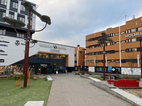 Holmlia senter