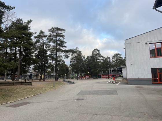 Oppsal skole sin skolegård