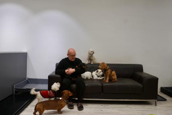 Johnny og hundene i barnehagen