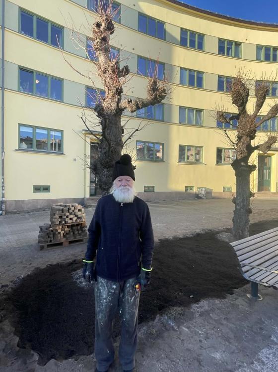 Jan Hugo Eriksen (66) foran noen av de nye trærne på Martinus Lørdahls plass
