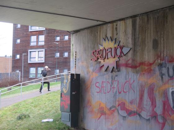 "Sædfuck"-graffitien under Bølerbrua.