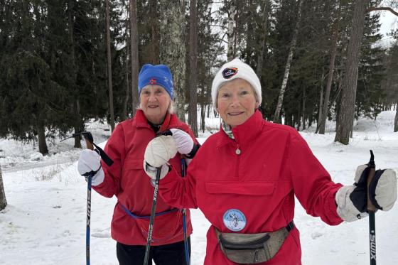 To glade damer p&aring; ski