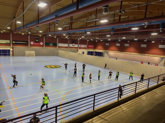 Romerike Ravens p&aring; h&aring;ndballtrening