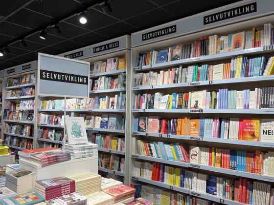 Bokhyller med selvutviklingsb&oslash;ker