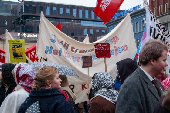 Plakater og faner p&aring; Youngstorget 8. mars