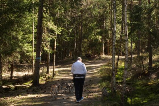 Arnulf g&aring;r i skogen
