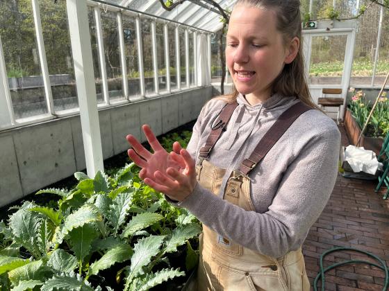Hanne Rekve viser kamera hvor store artisjokkplantene hun st&aring;r foran kommer til &aring; bli.