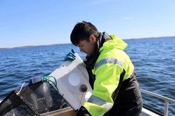 Emiliano R&oslash;rhus fisker reker