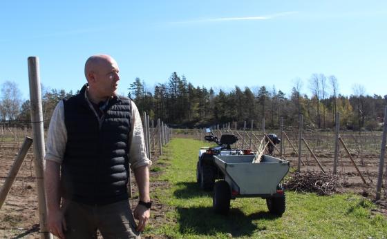 Borander ser utover &aring;keren sin.