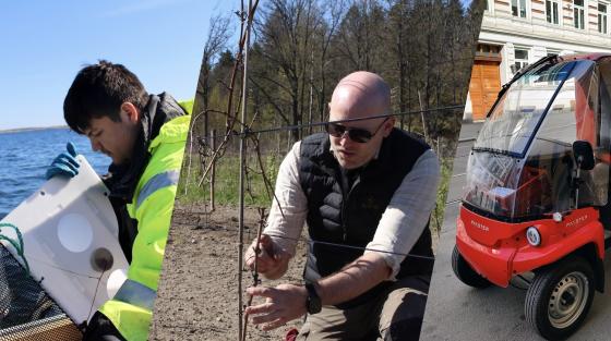 Emiliano p&aring; b&aring;t, Borander klipper drueplanten, en paxterbil fra Posten