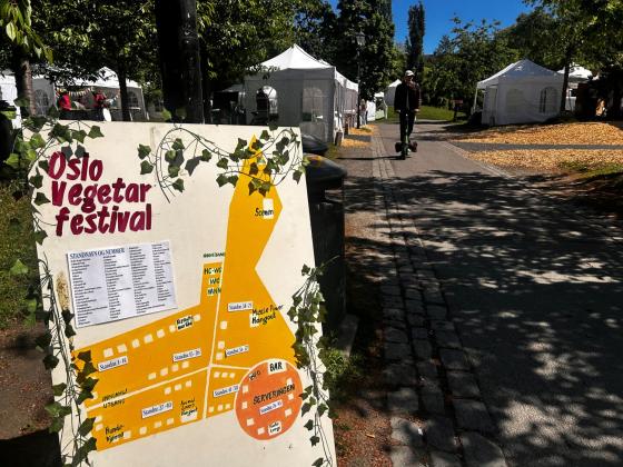 inngang festival