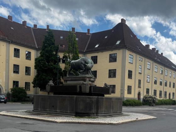 Oksen p&aring; Torshov