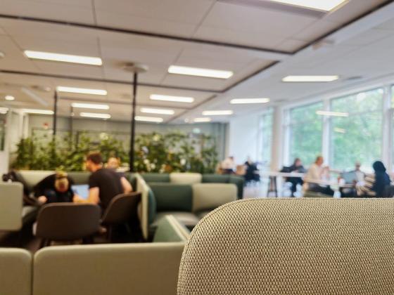 Universitetssal med studenter som arbeider med skole