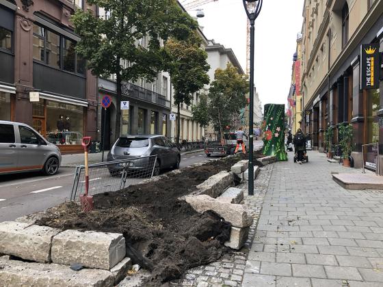 Trær bæres på en tilhenger ved siden av det tomme blomsterbedet