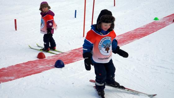 Fire barn på slalåm med skiinstruktør 