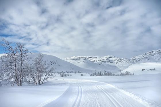 snøfylte skiløyper