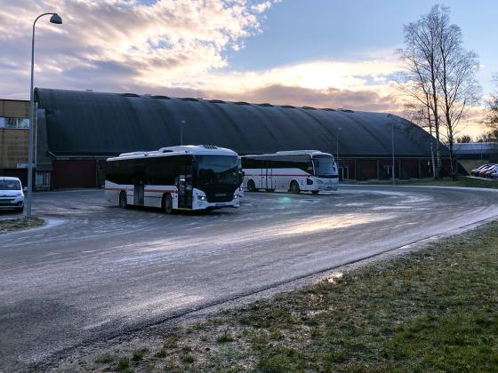 Bussene venter på å kjøre studenter. Foto: Mari Roland. 