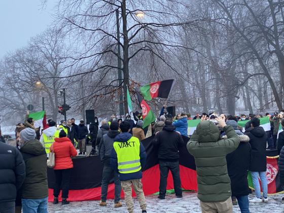 Demonstranter er fotografert bakfra og holder flagg og plakater på en demonstrasjon