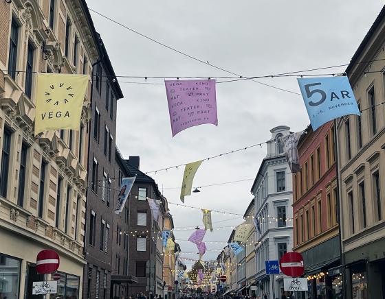 Bilde av blå, gule og lilla flagg satt opp i hele Markveien.