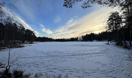 Et is-og snølagt Vesletjern med solen i bakgrunnen. 