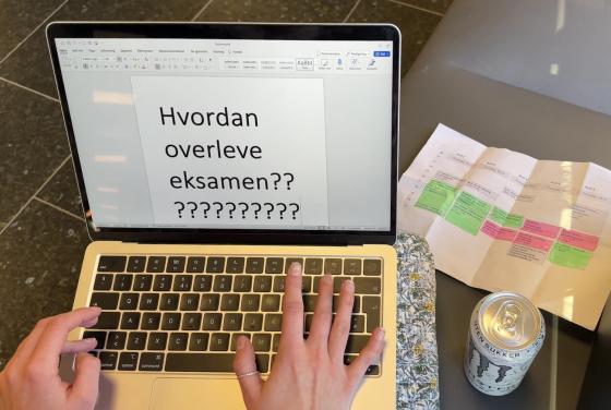 En jente som taster inn hvordan overleve eksamen på pc-skjermen