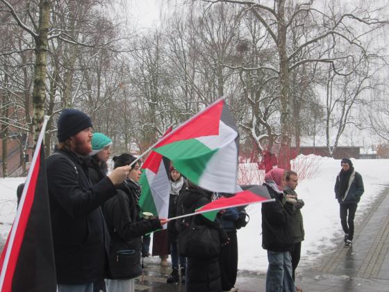 Flere personer er i bildet, på en uformell rekke. De holder palestinske flagg, og ser konsentrert til rett frem mot taleren. 