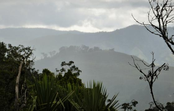 Dusky view of tropical mountains