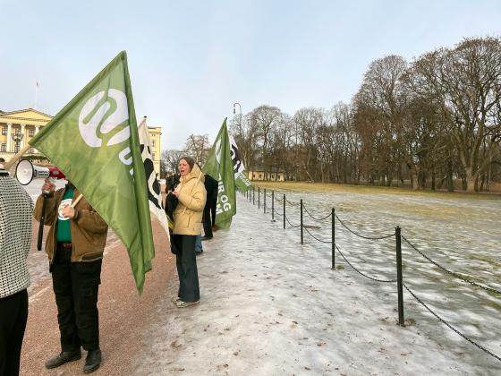 Jente med flagg på slottsplassen