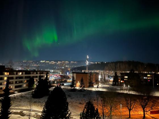 Grønt nordlys over hustakene på Haugenstua i Oslo. 