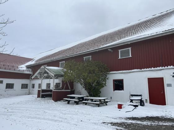 Utenfor Nordtvedt stall på Nordtvedt gård