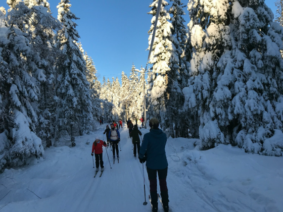 Mennesker som går på ski etter hverandre i marka