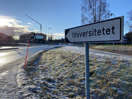 Studenter fra Agder vil ikke få gratis busskort. Foto: Mari Roland. 