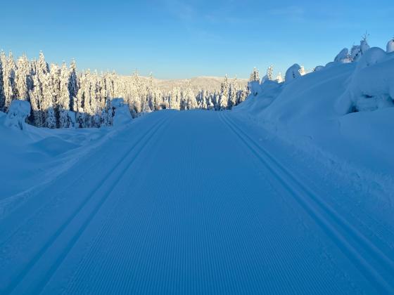 Skispor i Snøploghøgda i Nordmarka.