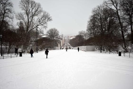 Slottsplassen og Karl Johan