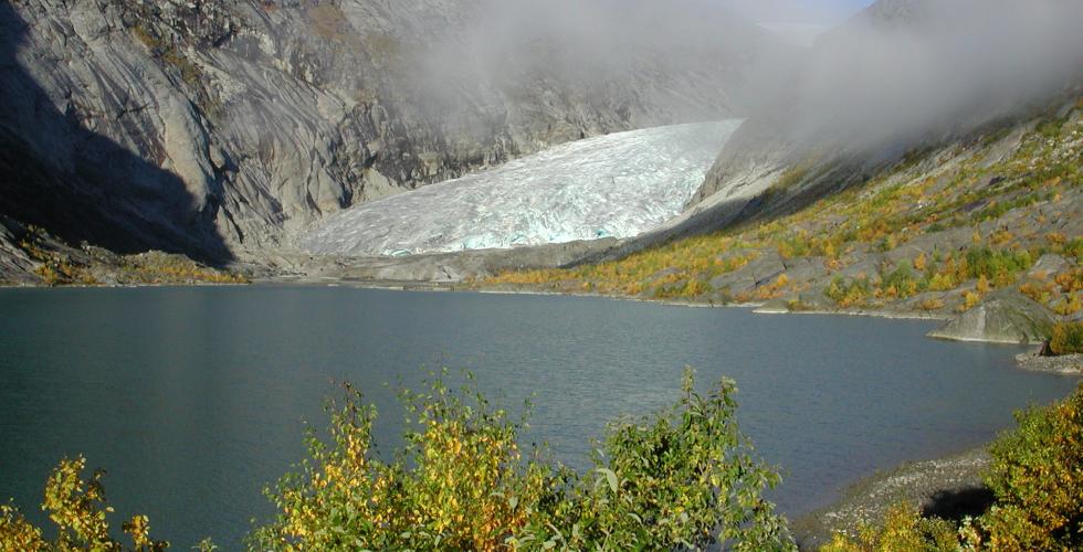 Isbre, Nigardsbreen