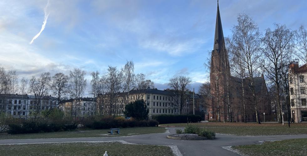 Birkelunden med blokker og kirke i bakgrunnen 