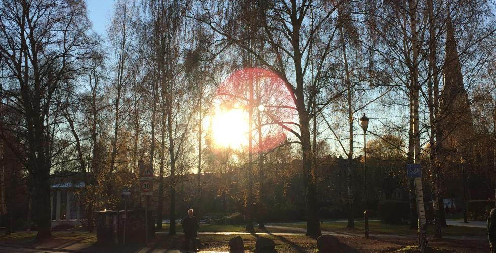 Bilde av Birkelunden park. Lav sol bak trærne. 