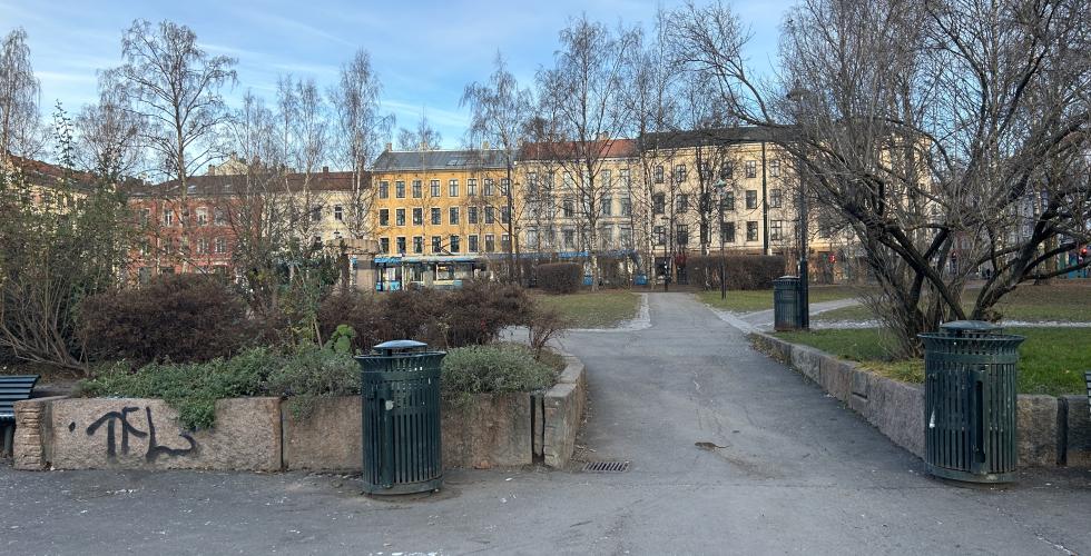 Birkelunden med benker, søppelkasse og en rotte 