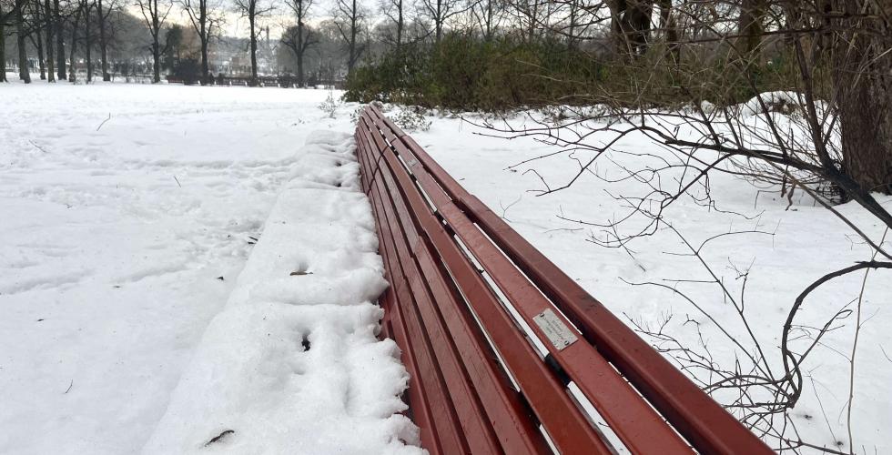 Benk i Frognerparken