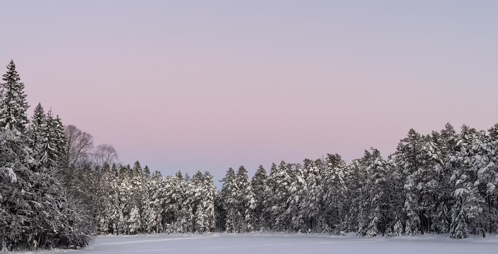 Vinter i Nordmarka