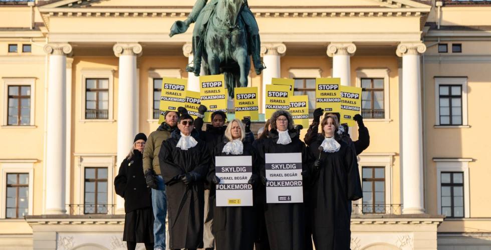 Amnesty protesterer mot israel foran slottet