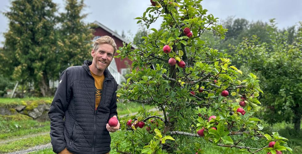 Bonden poserer ved siden av eget epletre med et eple i hånden