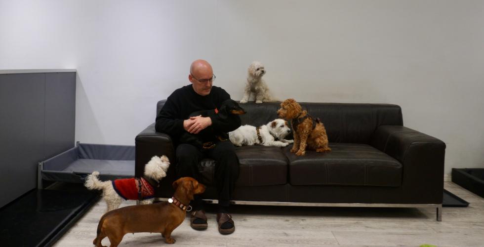 Johnny og hundene i barnehagen