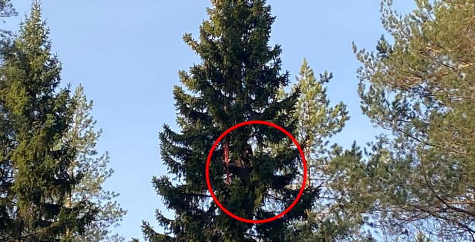 Miljøaktivist i London-Grana