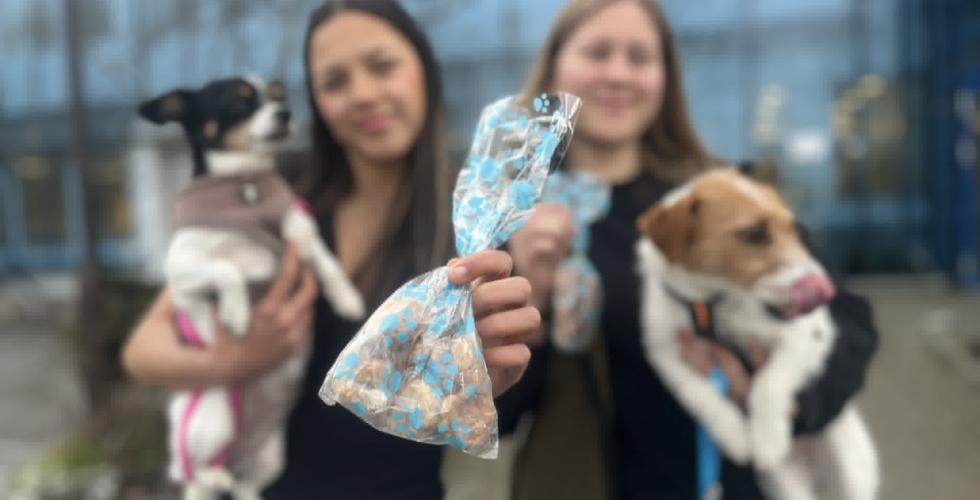 Jenter, hund, hundekjeks, stovner