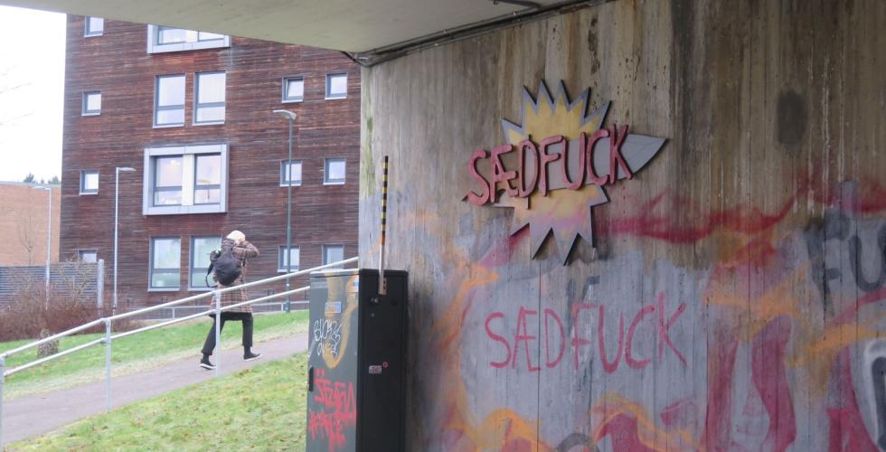 "Sædfuck"-graffitien under Bølerbrua.