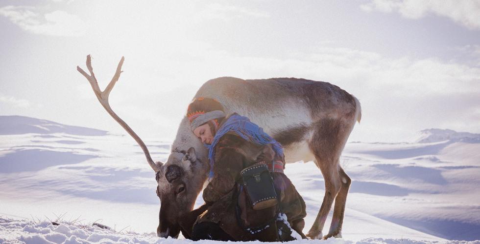 En samisk dame i kofte sitter p&aring; kn&aelig;r ved siden av et reinsdyr som beiter. De er i en sn&oslash;landskap.